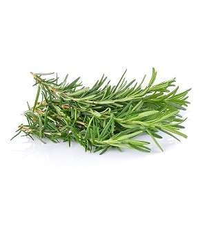 Rosemary – Per Bunch