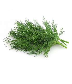Dill – Per Bunch